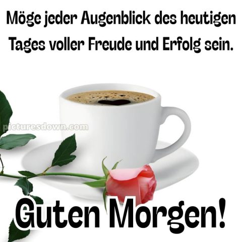 Guten morgen wünsche dir einen schönen tag bild Rose kostenlos