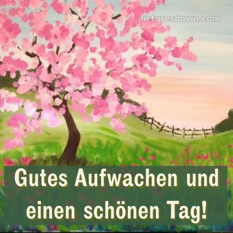 Hab einen schönen tag bilder bild Wiese kostenlos