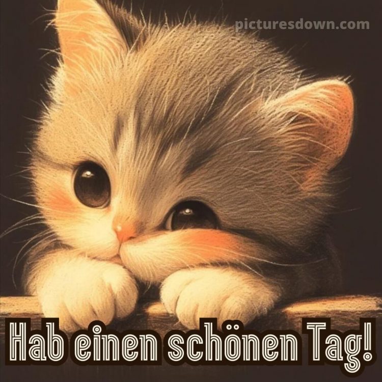 Hab einen schönen tag bilder bild Katze kostenlos