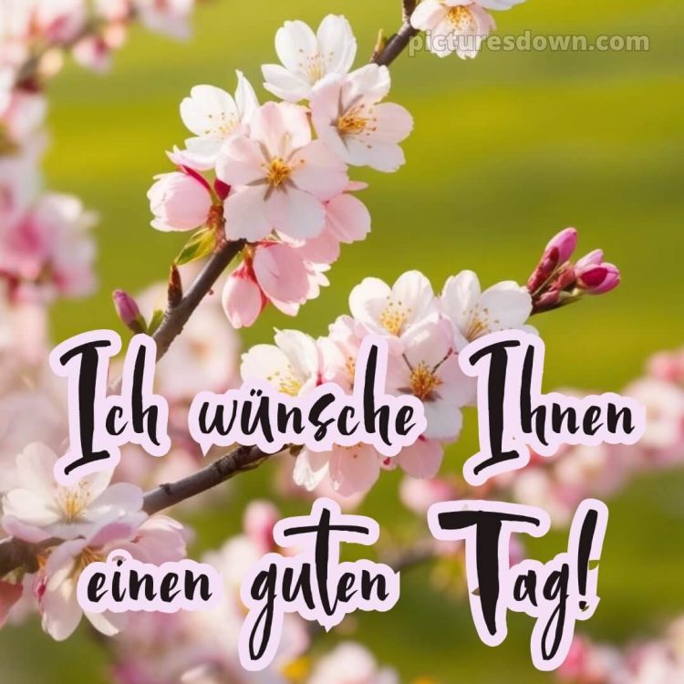 Hab einen schönen tag bilder bild Zweigstelle kostenlos