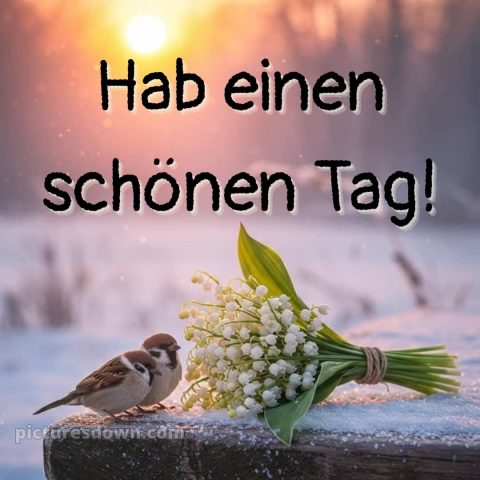 Hab einen schönen tag bilder bild Vögel kostenlos