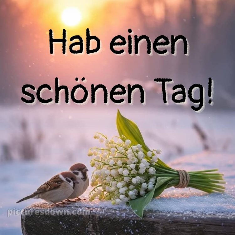 Hab einen schönen tag bilder bild Vögel kostenlos