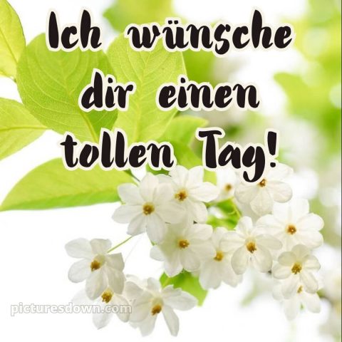 Hab einen schönen tag bilder bild Blühende kostenlos
