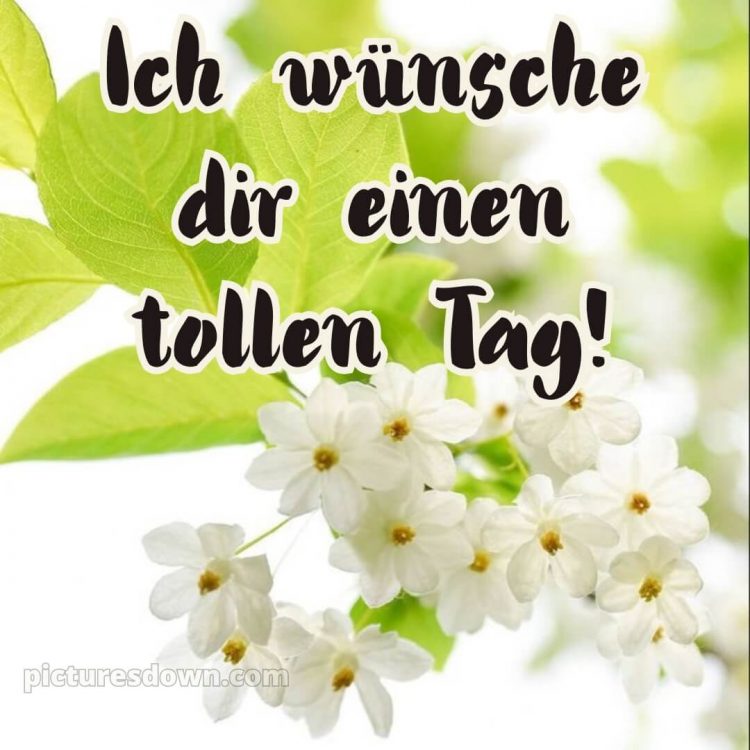 Hab einen schönen tag bilder bild Blühende kostenlos