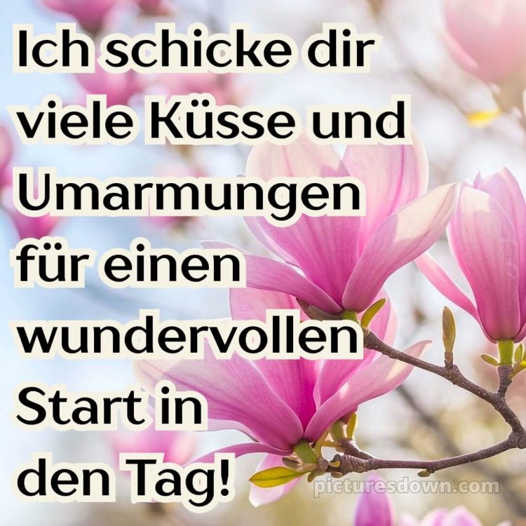 Hab einen schönen tag bilder bild Himmel kostenlos