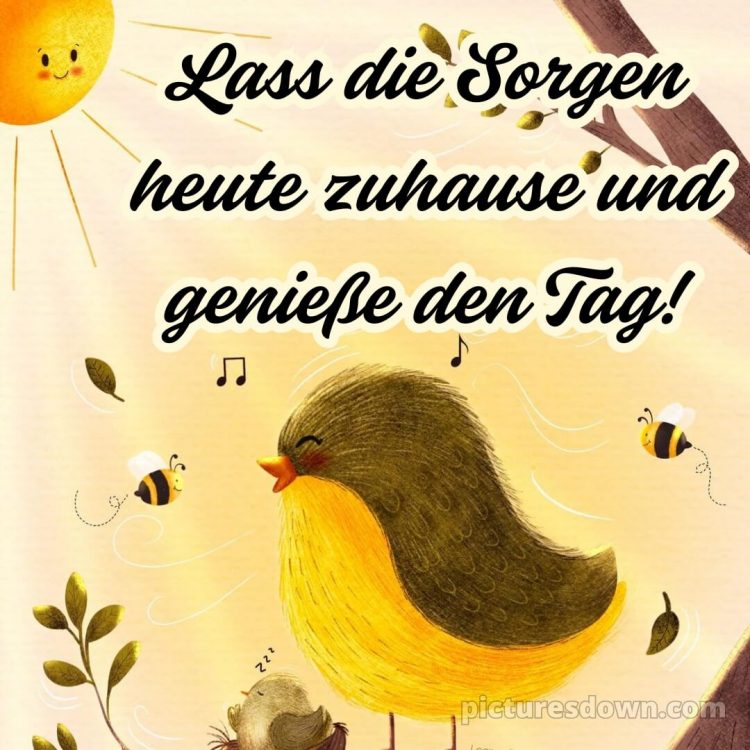 Hab einen schönen tag lustig bild Vogel kostenlos