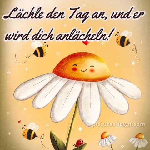 Hab einen schönen tag lustig bild Bienen kostenlos