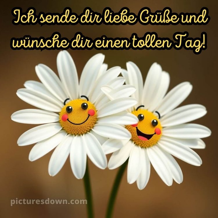 Hab einen schönen tag sprüche bild Emoji kostenlos