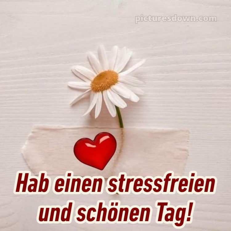 Hab einen schönen tag sprüche bild Herz kostenlos