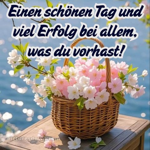 Hab einen schönen tag sprüche bild Korb kostenlos