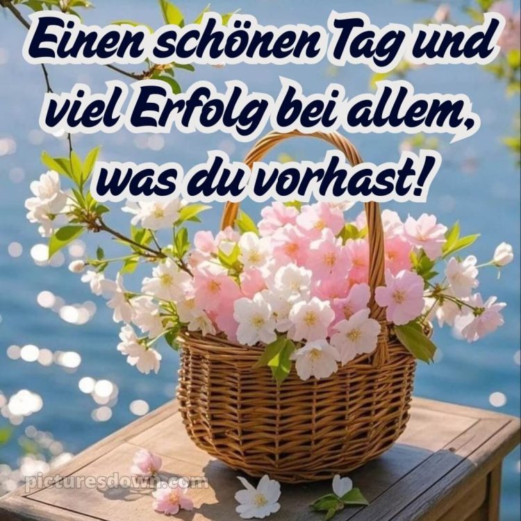 Hab einen schönen tag sprüche bild Korb kostenlos