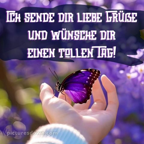 Hab einen schönen tag sprüche bild Schmetterling kostenlos