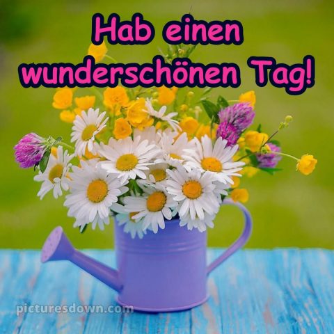 Hab einen schönen tag sprüche bild Blumenstrauß kostenlos