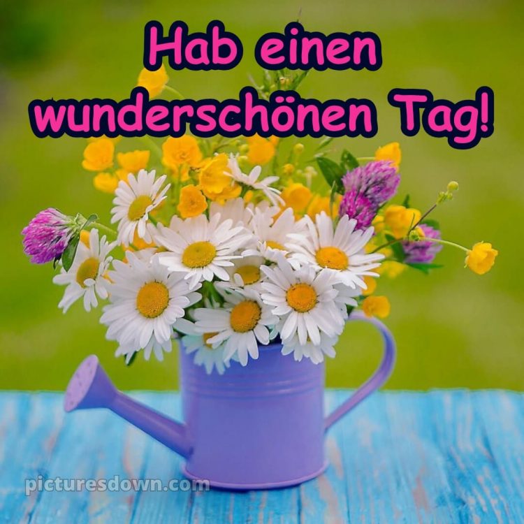 Hab einen schönen tag sprüche bild Blumenstrauß kostenlos