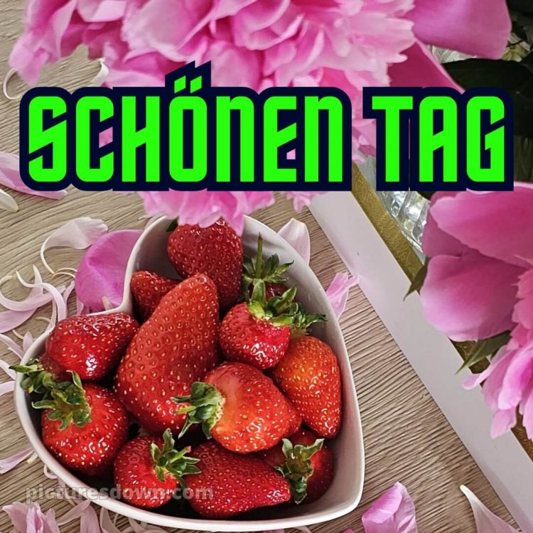 Hab einen schönen tag sprüche bild Erdbeeren kostenlos