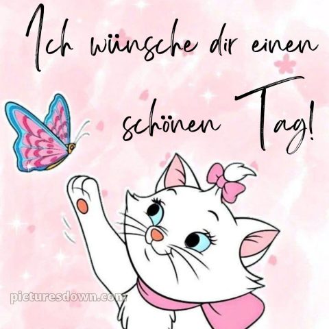 Ich wünsche dir einen schönen tag lustig bild Katze kostenlos
