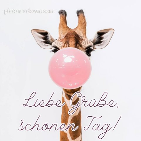 Ich wünsche dir einen schönen tag lustig bild Giraffe kostenlos