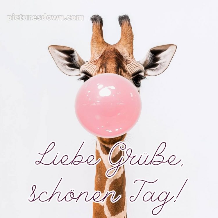 Ich wünsche dir einen schönen tag lustig bild Giraffe kostenlos