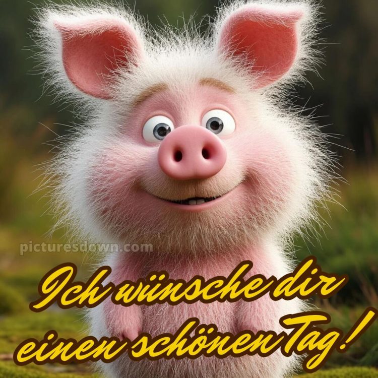 Ich wünsche dir einen schönen tag lustig bild Ferkel kostenlos