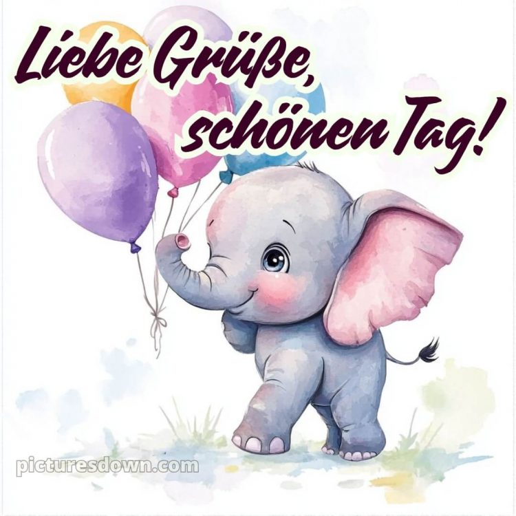 Ich wünsche dir einen schönen tag lustig bild Elefant kostenlos