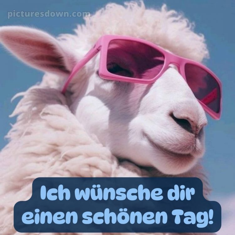 Ich wünsche dir einen schönen tag lustig bild Brille kostenlos