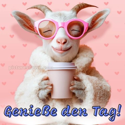 Ich wünsche dir einen schönen tag lustig bild Ziege kostenlos