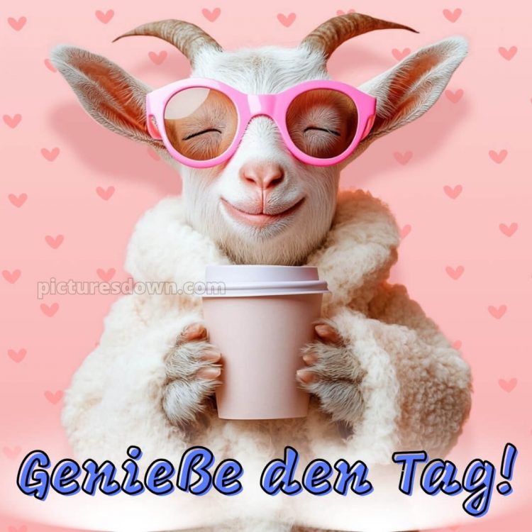 Ich wünsche dir einen schönen tag lustig bild Ziege kostenlos