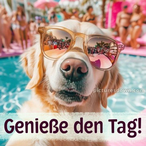 Ich wünsche dir einen schönen tag lustig bild Hund kostenlos