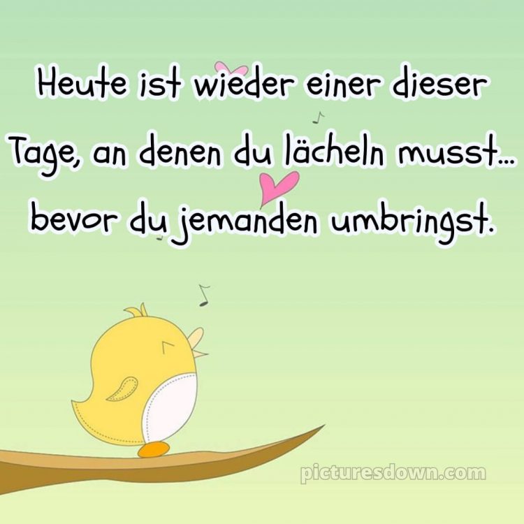 Lustig schönen tag bilder whatsapp bild Vogel kostenlos