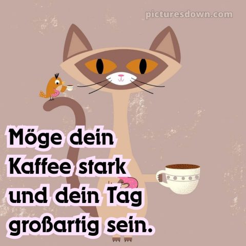 Lustig schönen tag bilder whatsapp bild Kaffee kostenlos