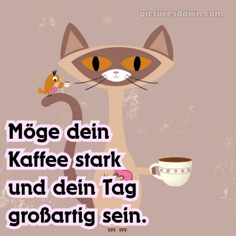 Lustig schönen tag bilder whatsapp bild Kaffee kostenlos