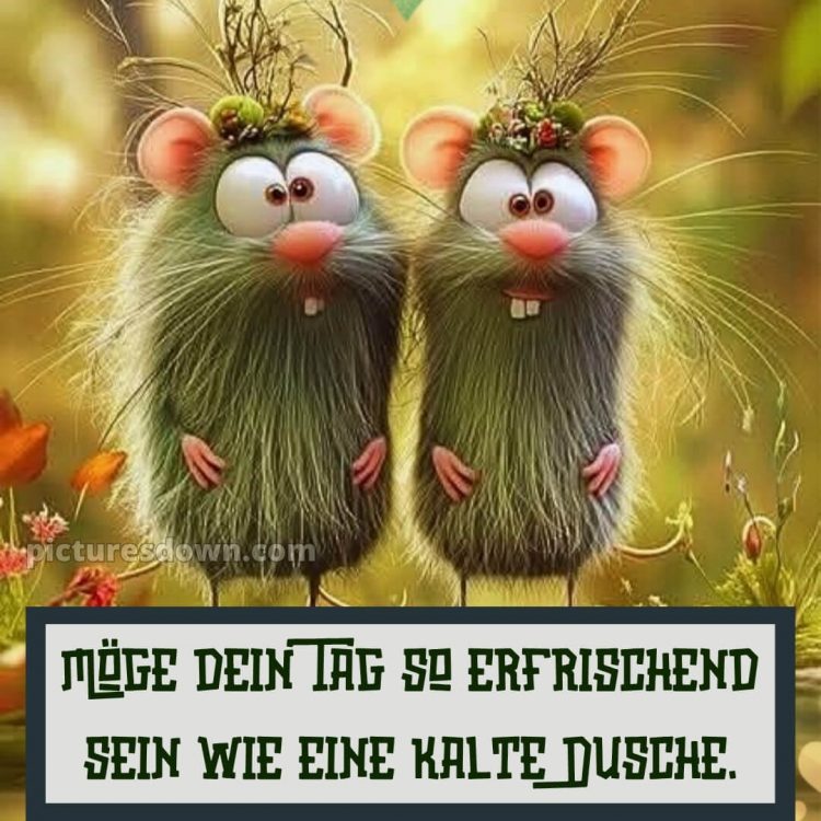 Lustig schönen tag bilder whatsapp bild Verrückte kostenlos