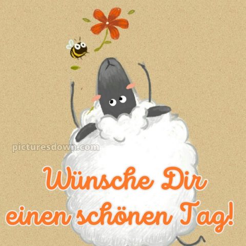 Lustig schönen tag bilder whatsapp bild Schafe kostenlos