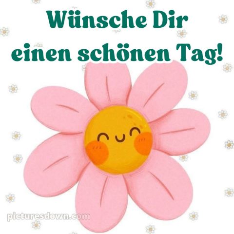 Lustig schönen tag bilder whatsapp bild Blume kostenlos