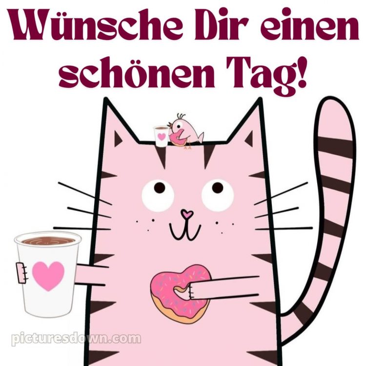 Lustig schönen tag bilder whatsapp bild Katze kostenlos