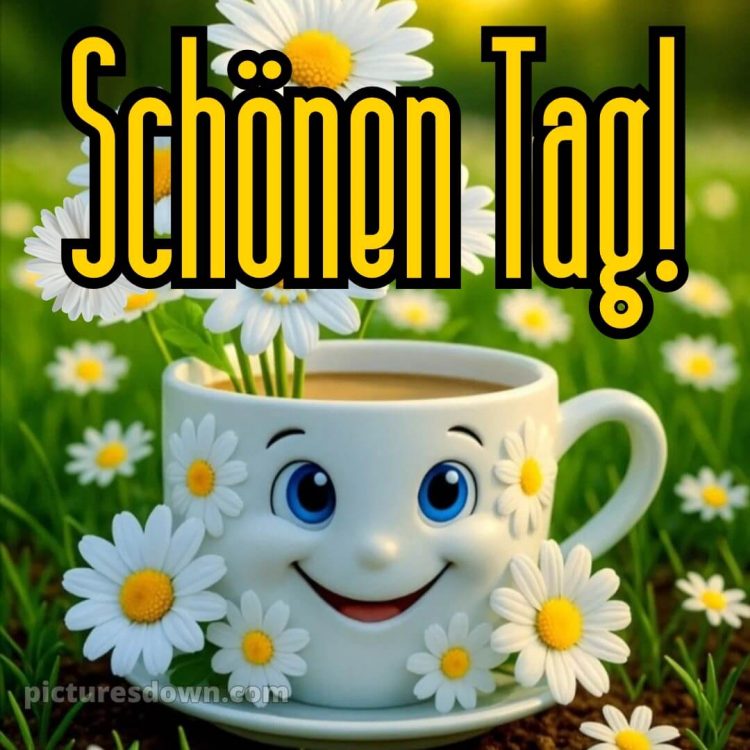 Lustig schönen tag bilder whatsapp bild Gänseblümchen kostenlos