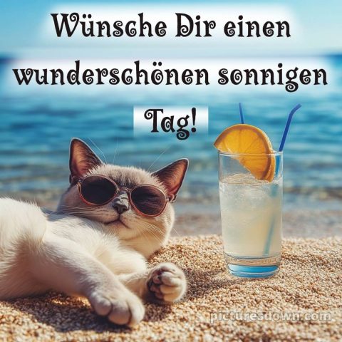 Schönen tag bilder lustig kostenlos bild Cocktail kostenlos
