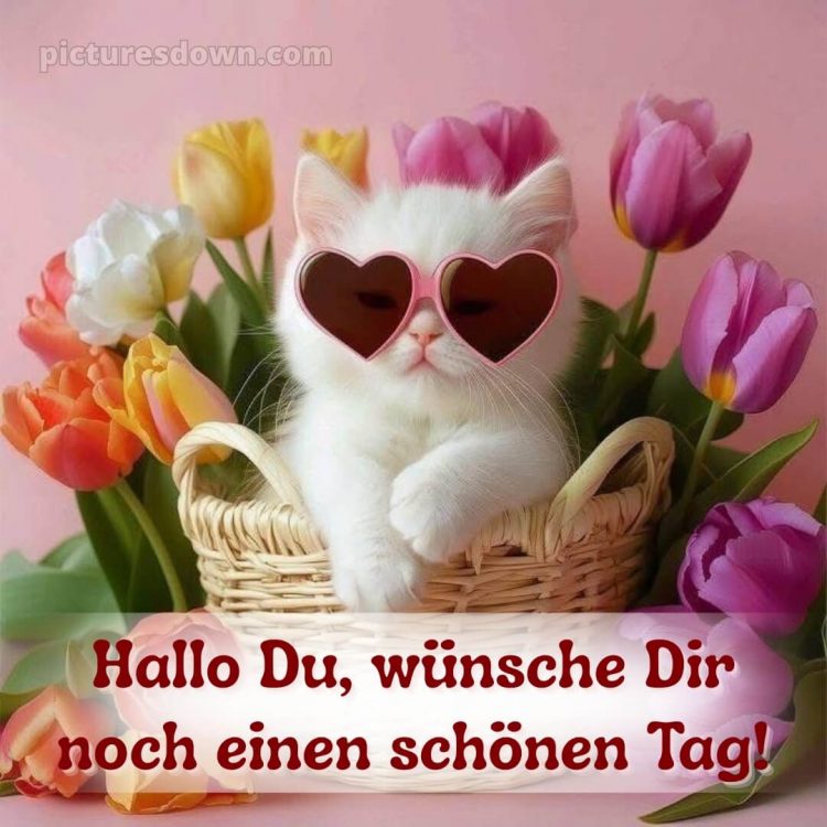 Schönen tag bilder lustig kostenlos bild Tulpen kostenlos