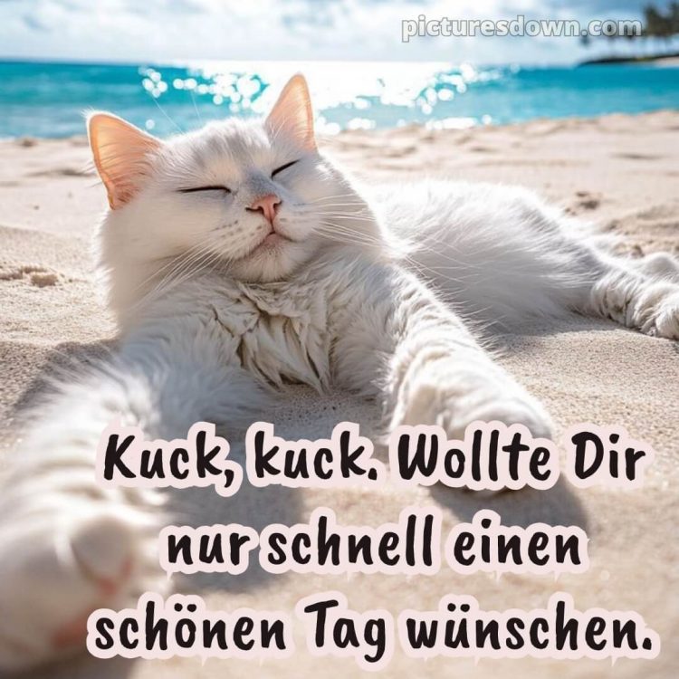 Schönen tag bilder lustig kostenlos bild Strand kostenlos