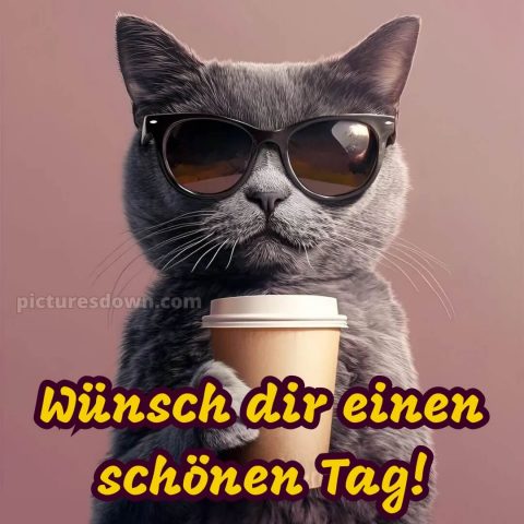 Schönen tag bilder lustig kostenlos bild Kaffee kostenlos