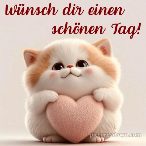 Schönen tag bilder lustig kostenlos bild Katze kostenlos