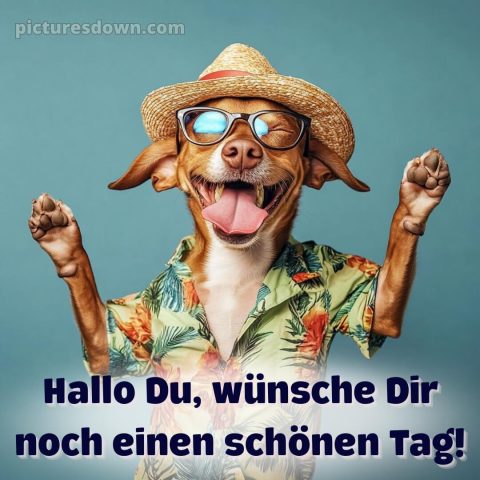 Schönen tag bilder lustig kostenlos bild Zunge kostenlos