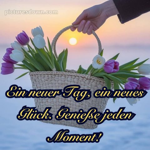 Schönen tag bilder sprüche bild Korb kostenlos