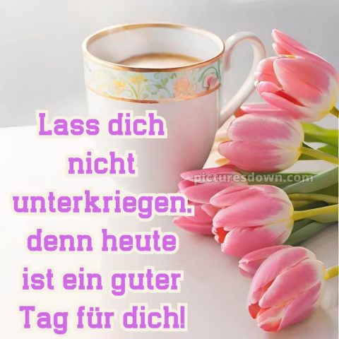 Schönen tag bilder sprüche bild Karte kostenlos
