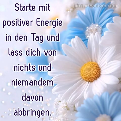 Schönen tag bilder sprüche bild Blumen kostenlos