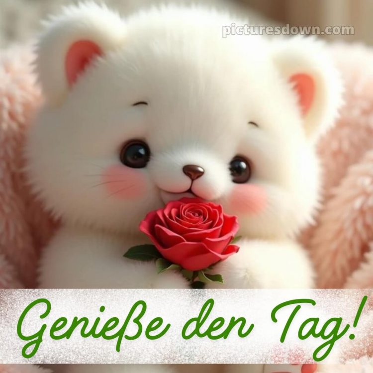 Schönen tag bilder sprüche bild Rose kostenlos