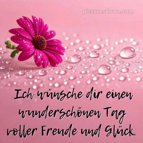 Schönen tag bilder sprüche bild Tau kostenlos