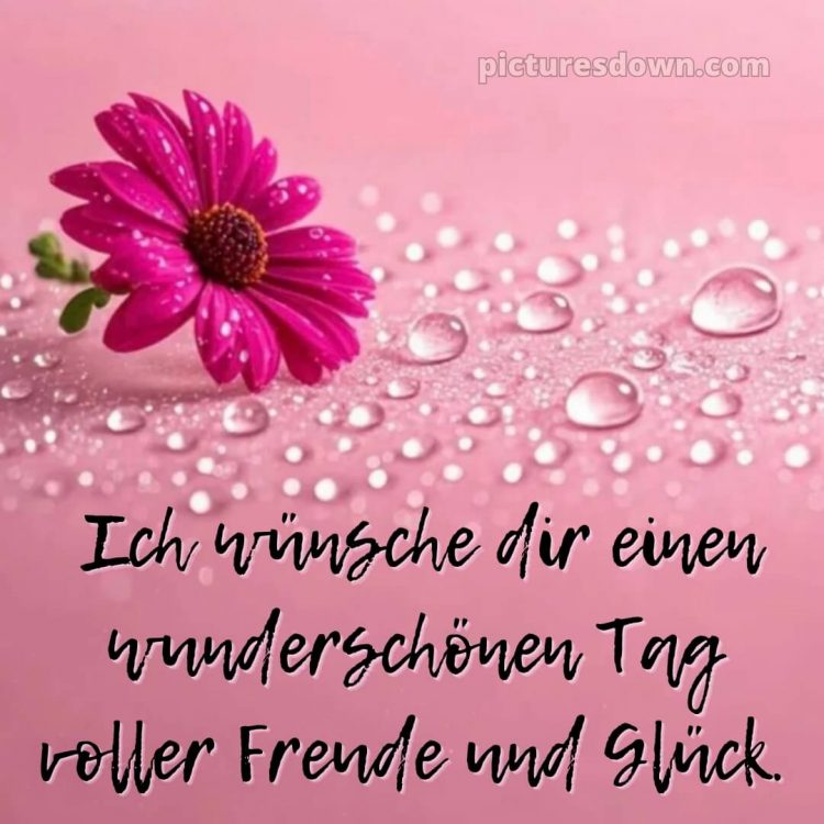 Schönen tag bilder sprüche bild Tau kostenlos