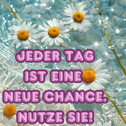 Schönen tag bilder sprüche bild Meer kostenlos