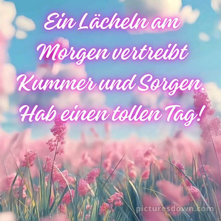 Schönen tag bilder sprüche bild Himmel kostenlos
